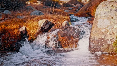 Cascading stream in the Pyrenees mountains during sunset hours Stock Footage 303631989