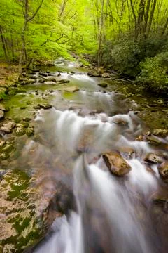 Cascading Stream in the Smokies Stock Photos