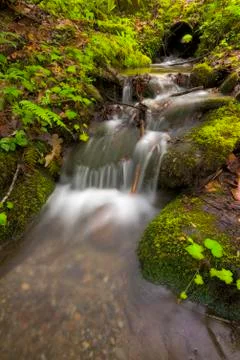 Cascading Stream in the Smokies Stock Photos
