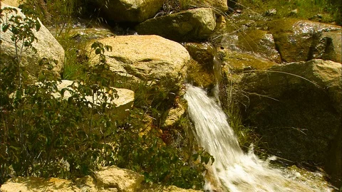 Cascading stream through boulders and brush Stock Footage 87273626