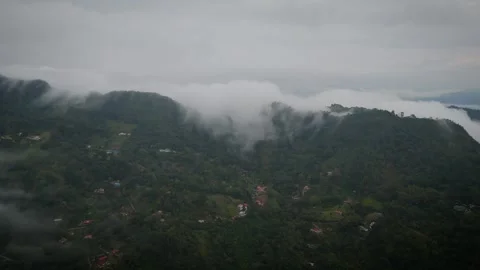 Cascading Tidal Surge of Whiteness Devouring Forested Massif Video stock 316860848