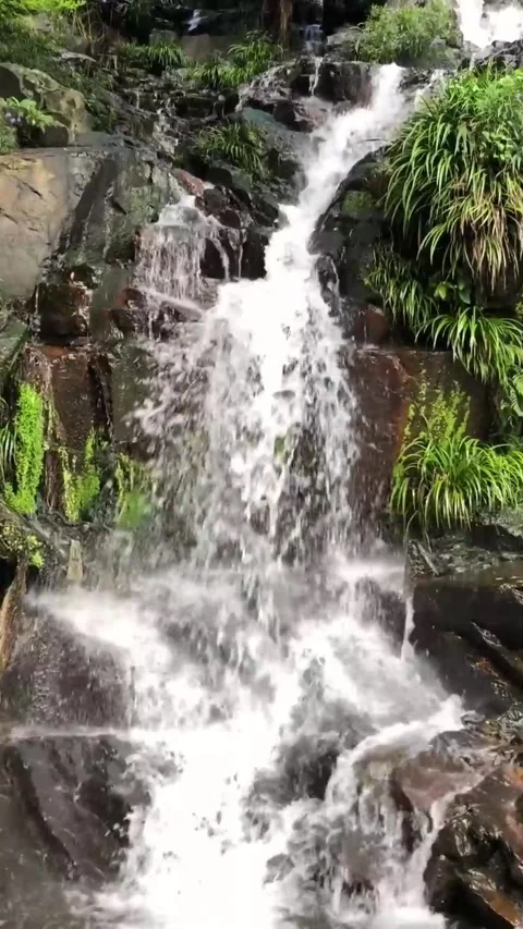 Cascading Tranquility: Relaxing Waterfall Sounds for Serenity Stock Footage 273436584