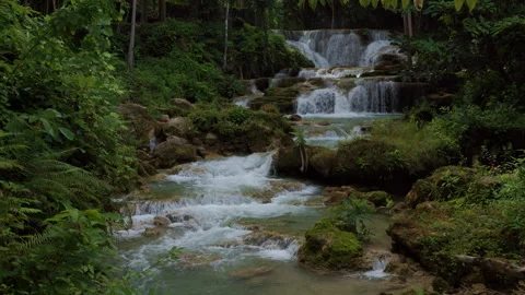 Cascading Tropical Waterfall Flowing Through Lush Forest Vegetation Wide Shot Stock-Footage 339552661