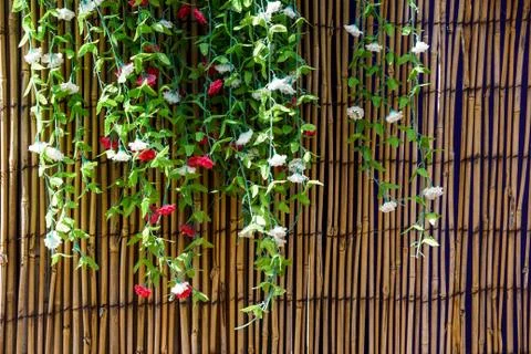 Cascading wall of pink spring desert flowers Stock Photos