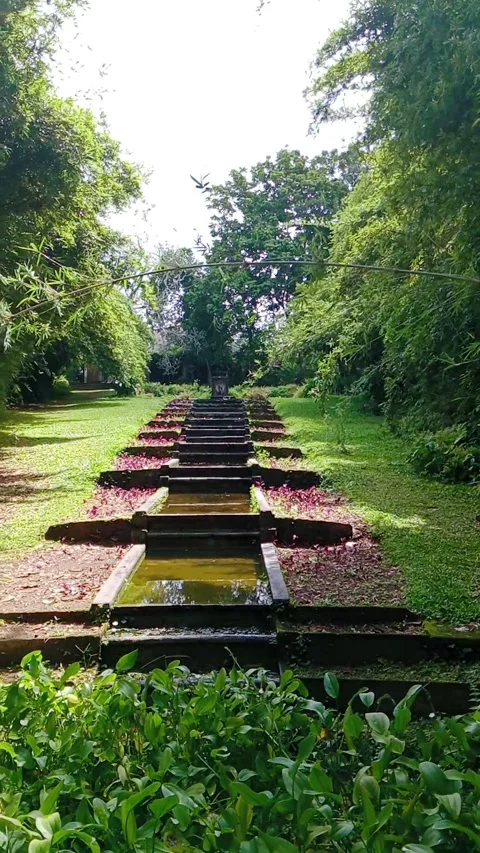 Cascading water features and terraced ponds in a lush green garden Stock Footage 346273232