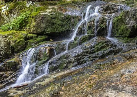 Cascading water flows gently over moss-covered rocks in a serene forest set.. Stock Photos