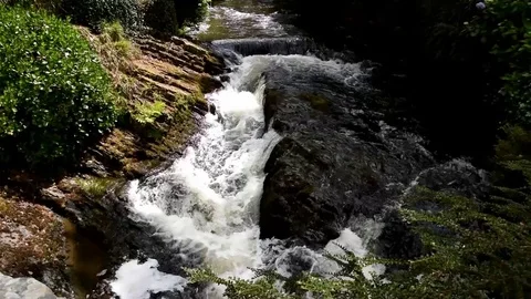 Cascading Water Stock Footage 76531053