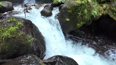 Cascading Water over Mossy Rocks Close-up, Izu, Japan (4K) Stock Footage 341364775