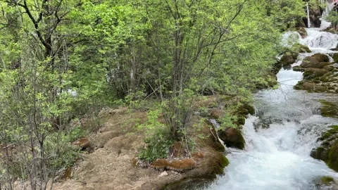 Cascading Water Rushing Through Lush Green Forest in Jiuzhaigou China Stock Footage 338373493