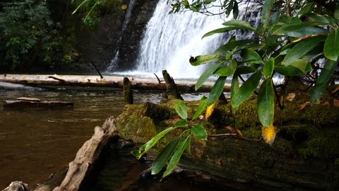Cascading Waterfall with clear water Stock-Footage 98452646