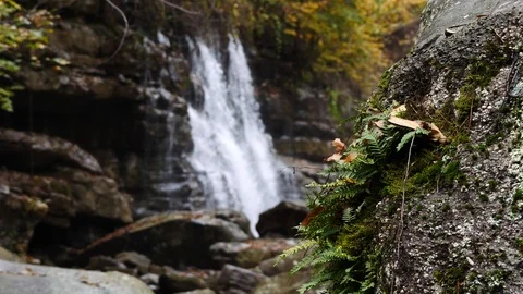 Cascading Waterfall with clear water 스톡 동영상 98908036