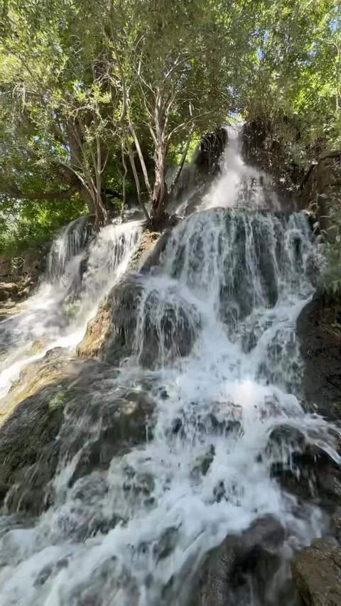 Cascading Waterfall Flowing Through a Lush Green Forest 库存影片 341318878