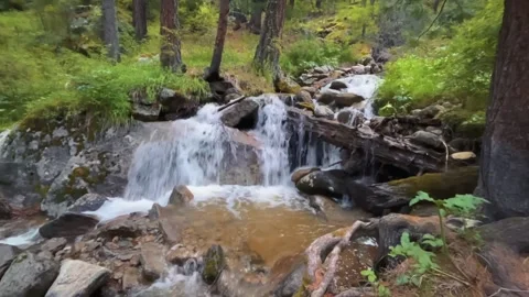 Cascading waterfall flowing through mossy forest stream, static wide shot Vídeo Stock 347349685