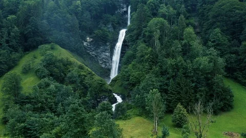 Cascading Waterfall in Forest Stock Footage 113114276