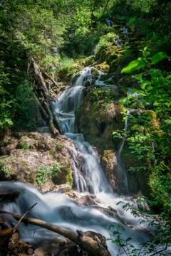 Cascading waterfall in the forest. Stock Photos