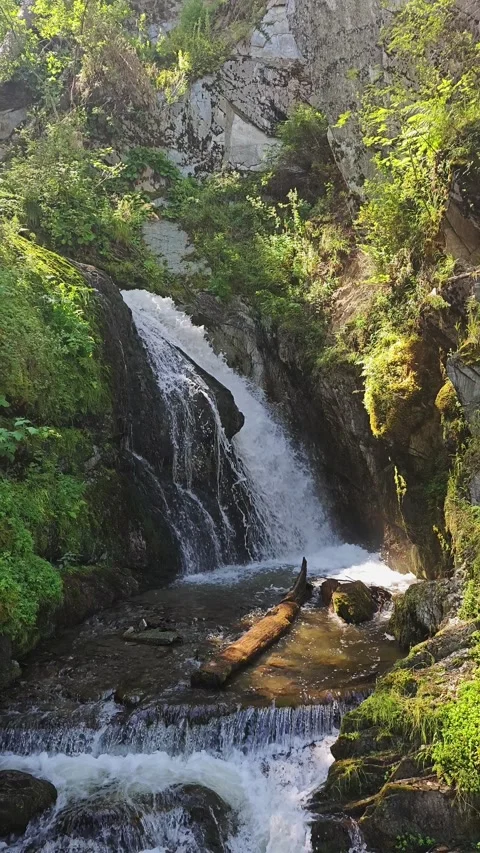 Cascading waterfall in lush Altai forest, thunderous water plunging over rocky Stock Footage 320950767