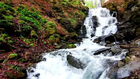 Cascading Waterfall in Lush Forest with Mossy Rocks Stock Footage 301088377