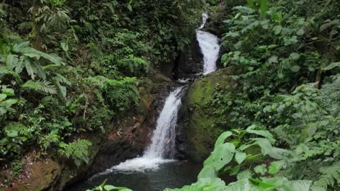 Cascading Waterfall in Monteverde Cloud Forest, Costa Rica Stock Footage 302692202
