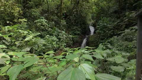 Cascading Waterfall in Monteverde Cloud Forest, Costa Rica Stock Footage 302692244