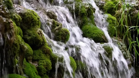 Cascading Waterfall Over Moss-Covered Rocks in Lush Green Setting Stock Footage 301087685