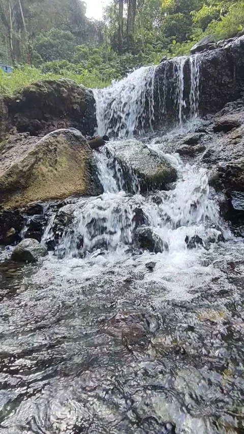 Cascading Waterfall Over Mossy Rocks Stock Footage 311448677