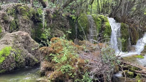 Cascading Waterfall Over Mossy Rocks in Lush Jiuzhaigou Valley, Sichuan Vídeo Stock 337277369
