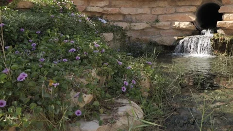 Cascading waterfall into pond. Day. Stock-Footage 268719741