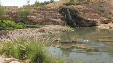 Cascading waterfall into pond. Day. Stock-Footage 268720963