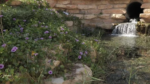 Cascading waterfall into pond Видео 264975804