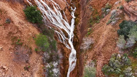 Cascading waterfall rushing down a rugged red rock canyon with scattered green Vidéo 333162566
