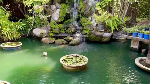Cascading waterfall on stone walls with fish pond, and vegetation Vidéo 342702604