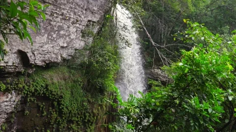 Cascading Waterfall Surrounded by Lush Green Foliage Video stock 336521402