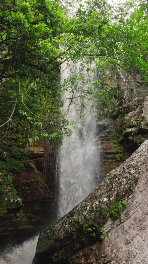 Cascading Waterfall Surrounded by Lush Greenery Stock Footage 336521151