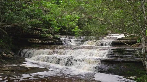Cascading Waterfall Surrounded by Lush Greenery in Guaviare Stock Footage 336521229