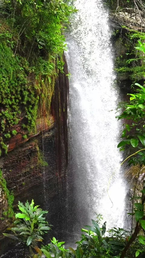 Cascading Waterfall Surrounded by Lush Greenery in Guaviare Video stock 336521427