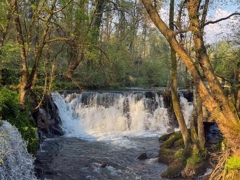 Cascading waterfall in a vibrant spring forest with lush greenery and clear w Stock Photos