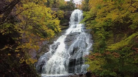 Cascading Waterfalls in Autumn Stock Footage 265933458