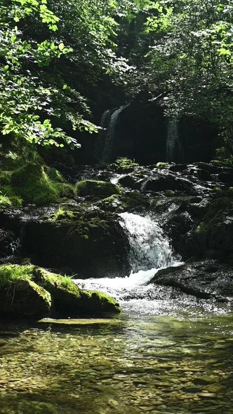 Cascading waterfalls in a forest in summer, vertical, slow motion Stock-Footage 260899270