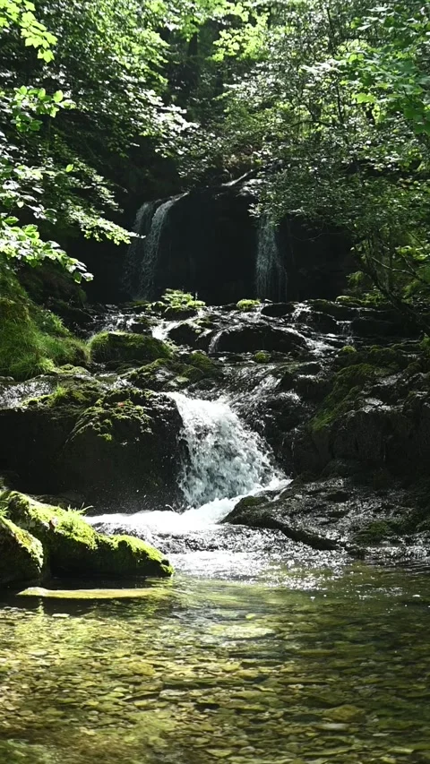 Cascading waterfalls in a forest in summer, vertical, slow motion Stock-Footage 260899274