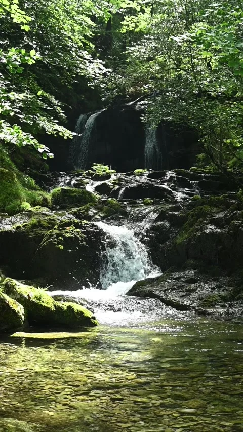 Cascading waterfalls in a forest in summer, vertical, slow motion Video stock 260899333