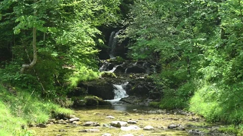 Cascading waterfalls hidden in a forest Stock-Footage 260848776