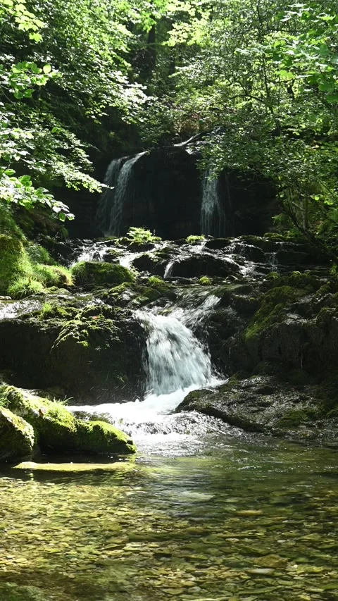 Cascading waterfalls in a summer forest, vertical 스톡 동영상 260897676