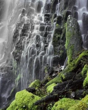 Cascading Waters - Proxy Falls in Cascades Mountains. Oregon Stock Photos