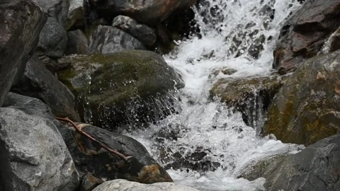 Cascading whitewater mountain waterfall through rocky gully Video stock 234731756