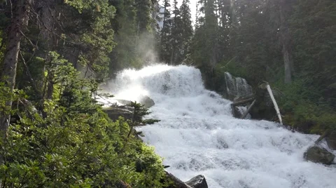 Cascading Whitewater Stream Stock Footage 66501311