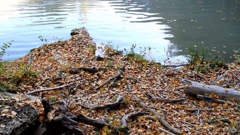 Cascata del Sasso Stock Footage 118957600