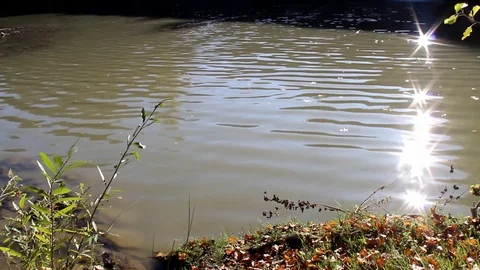 Cascata del Sasso Stock Footage 119006982