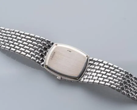 Case back view, Audemars Piguet watch 写真素材