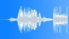 Case of Bottles (4)Sound Effect