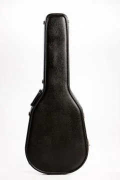 Case For Guitar Stock Photos